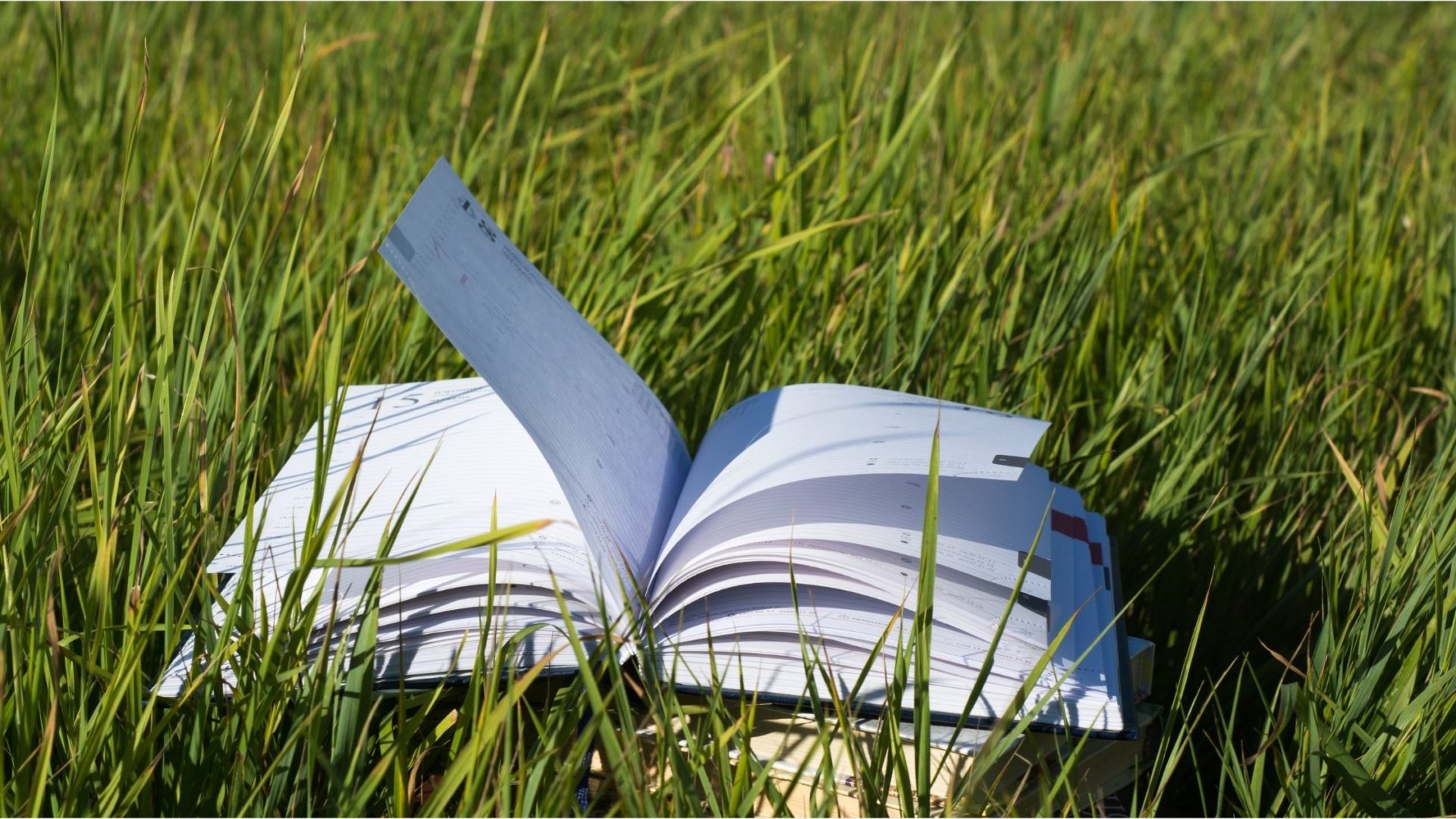 Filologos de Costa Rica